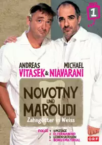 Plakat serialu Novotny und Maroudi