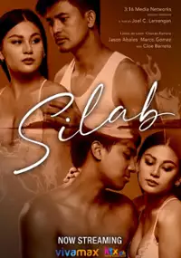 Plakat filmu Silab