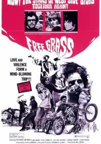 Plakat filmu Scream Free!