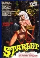 Paul Wilmoth / Starlet!