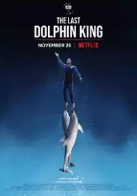 Plakat filmu Co się stało z Królem Delfinów?