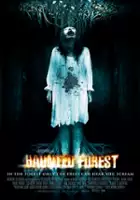 plakat filmu Haunted Forest
