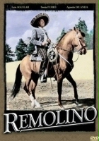 plakat filmu Remolino