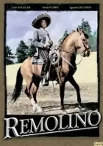 Plakat filmu Remolino