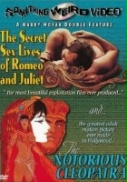 plakat filmu The Secret Sex Lives of Romeo and Juliet