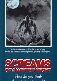 Plakat filmu Screams of a Winter Night