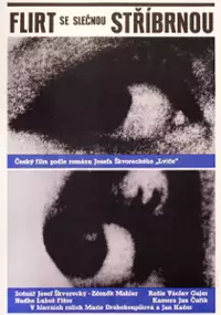 Plakat filmu Flirt se slečnou Stříbrnou