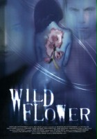 plakat filmu Wildflower