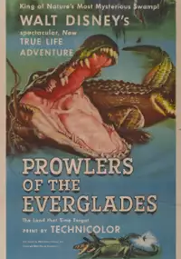 Plakat filmu Prowlers of the Everglades