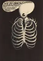 plakat filmu Nie do obrony