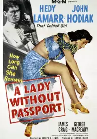 Plakat filmu A Lady Without Passport