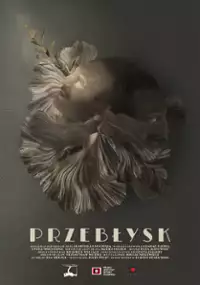 Plakat filmu Przebłysk
