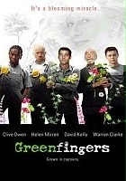 plakat filmu Zielone palce