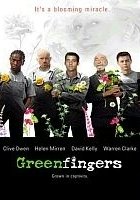 plakat filmu Zielone palce
