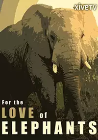 Plakat filmu Z miłości do słoni