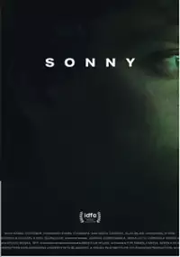Plakat filmu Synek