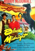 plakat filmu Black Midnight