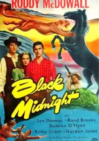 Plakat filmu Black Midnight