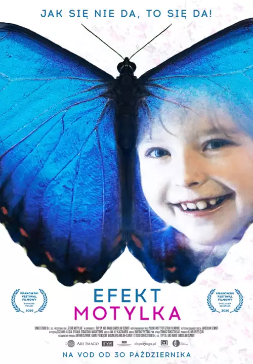 plakat filmu Efekt motylka