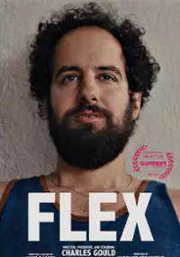 Plakat filmu Flex