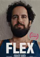 plakat filmu Flex