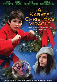Plakat filmu A Karate Christmas Miracle