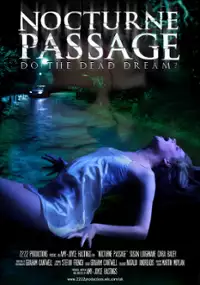Plakat filmu Nocturne Passage