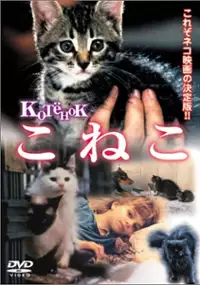 Plakat filmu Kotyonok
