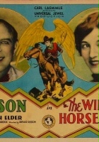 plakat filmu The Winged Horseman