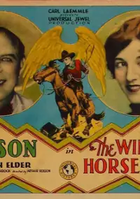 Plakat filmu The Winged Horseman