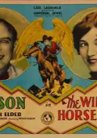 Arthur Rosson / The Winged Horseman