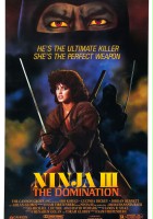 plakat filmu Ninja 3: Dominacja