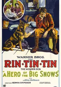 Plakat filmu A Hero of the Big Snows