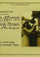 Clifford Bruce / The Racing Strain
