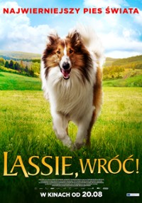 plakat filmu Lassie, wróć!