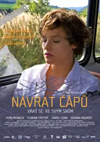 Plakat filmu Powrót bocianów