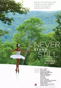 Plakat filmu Never Stand Still
