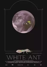 Plakat filmu White Ant