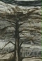 plakat filmu Quercus