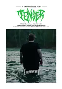 Plakat filmu Tender