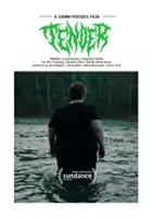 plakat filmu Tender