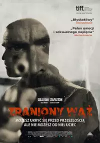 Plakat filmu Zraniony wąż