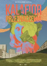 Plakat filmu Kalafior przeznaczenia 