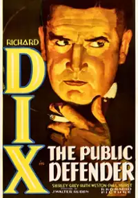 Plakat filmu The Public Defender