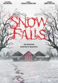 Plakat filmu Snow Falls