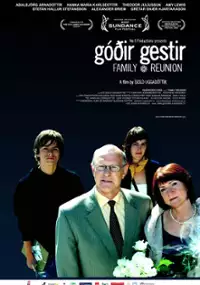 Plakat filmu Gódir gestir