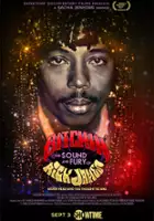 plakat filmu Bitchin': The Sound and Fury of Rick James