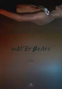 Plakat filmu Efekt widza