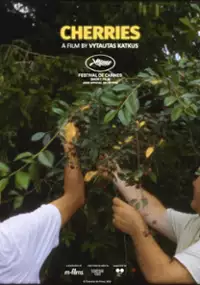 Plakat filmu Czereśnie