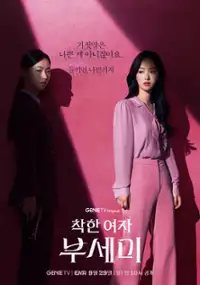 Plakat serialu Chaghan yeoja busemi